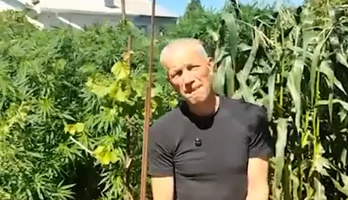 На год не хватает, особенно если куришь каждый день