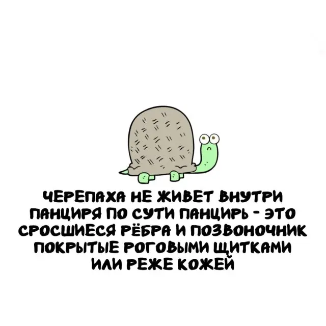 Интересные факты на все случаи жизни