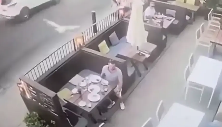 Чайка попыталась украсть еду и поплатилась