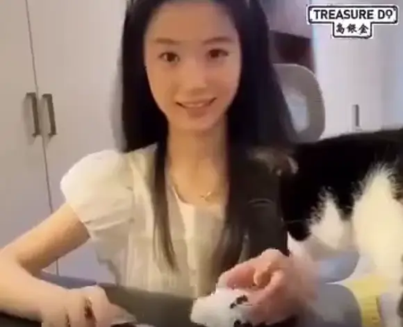 Кот немного в шоке
