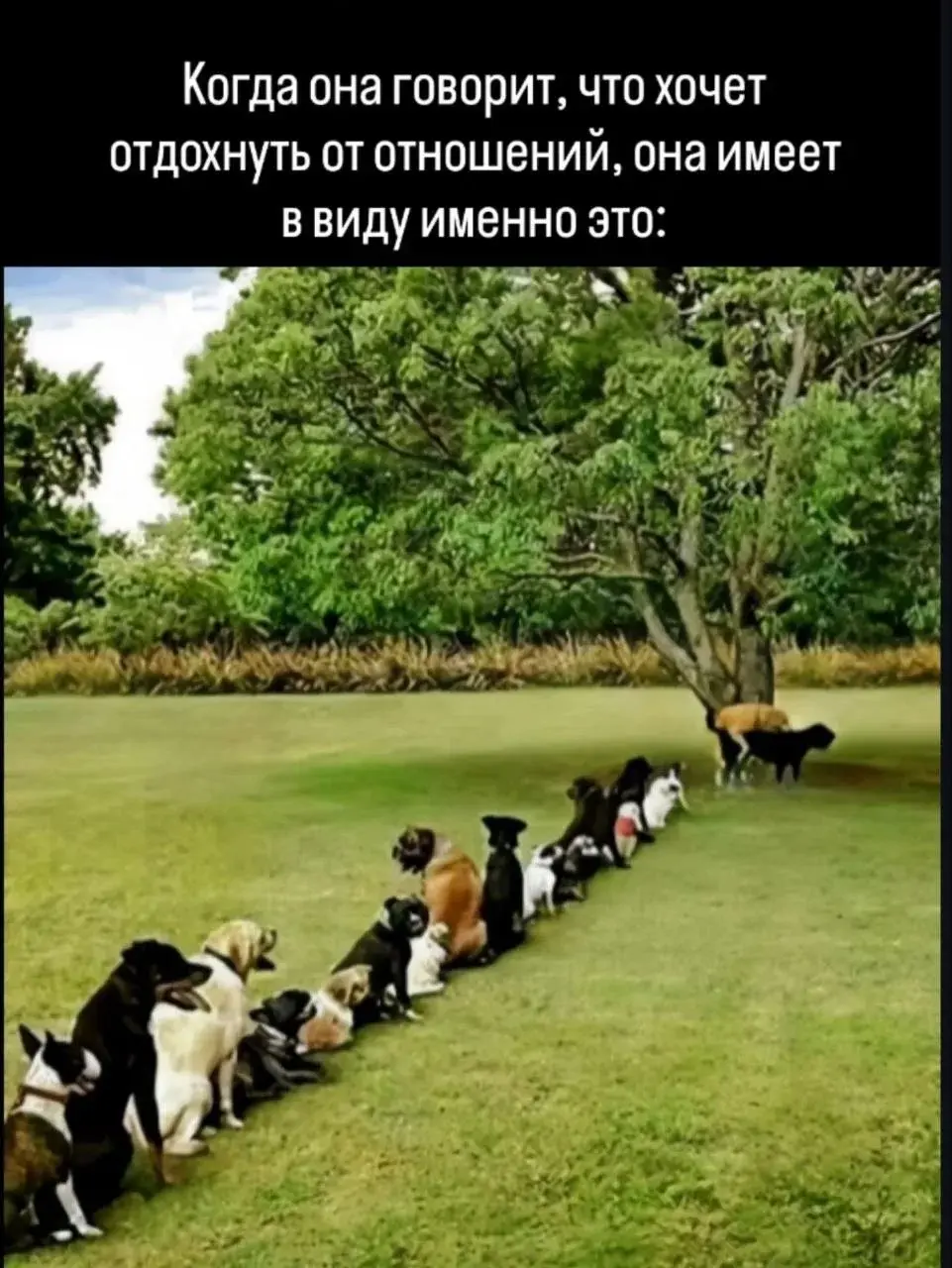 А вот вам пошлятинки немножко