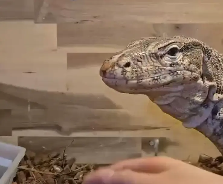 Пожалуй, это самая странная рулетка