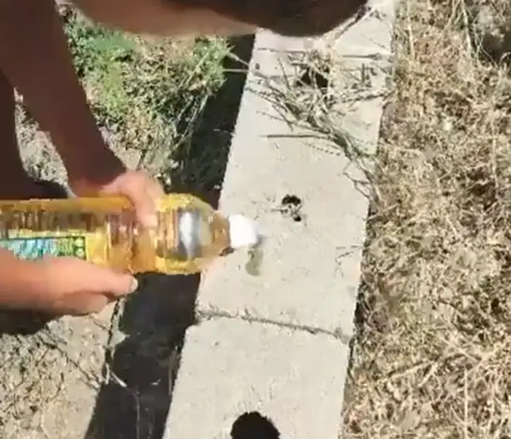 И, оно испарилось⁠⁠
