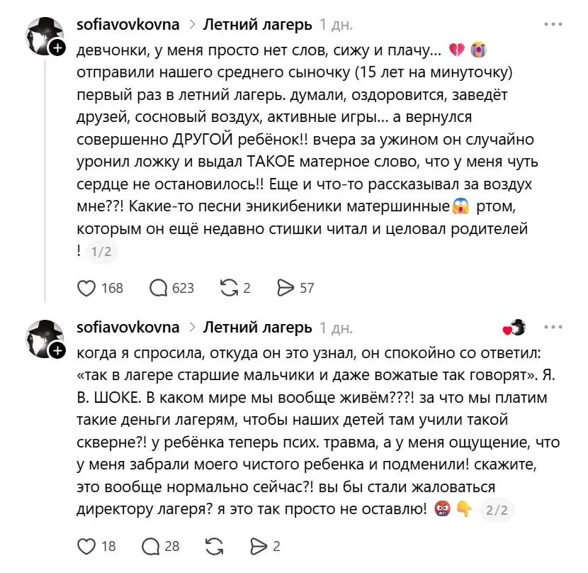 Мамочка отправила 15-летнего сынульку-корзинульку в лагерь и вот что из этого вышло...