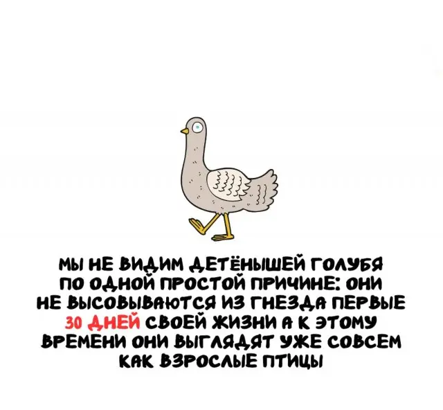 Интересные факты на все случаи жизни