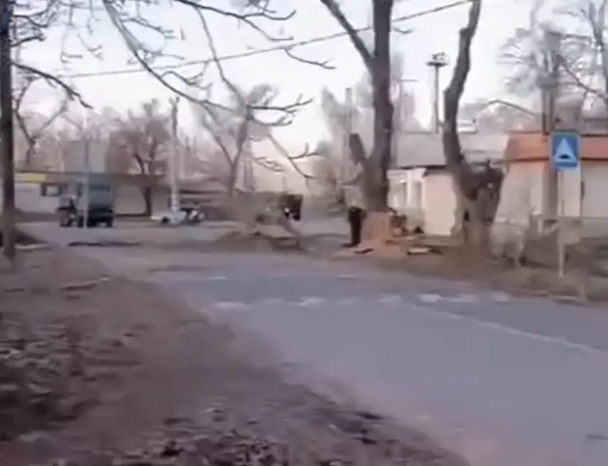 Древопилы - умельцы...⁠⁠