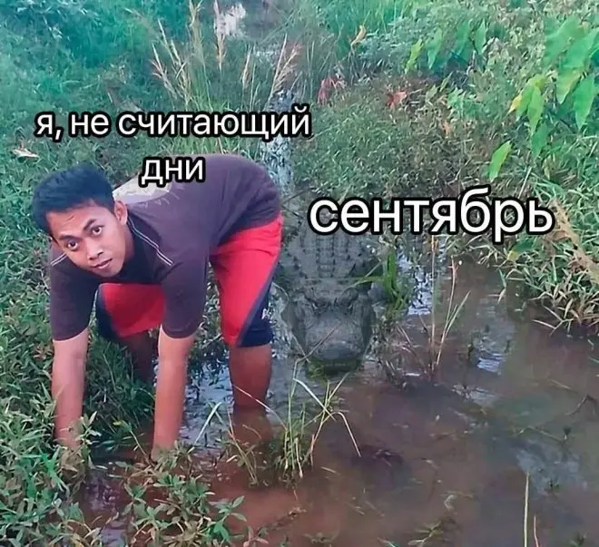 Смешные картинки