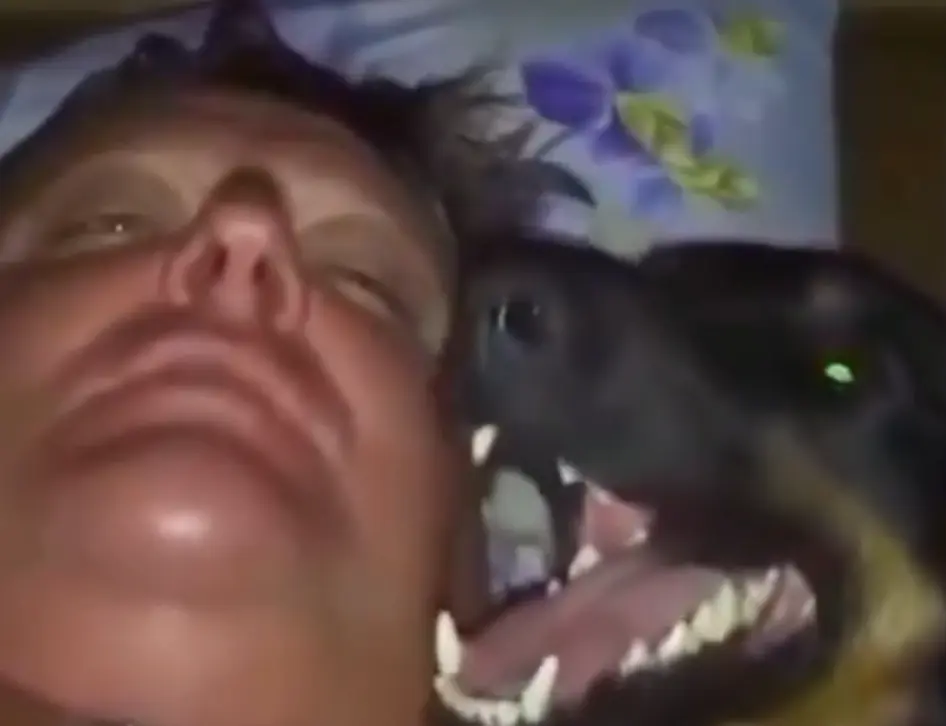 Ситуация