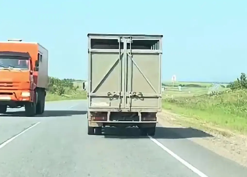 Подстава не удалась
