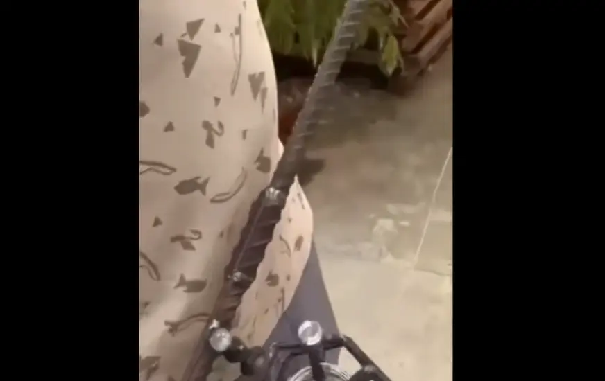 Для настоящих рыбаков