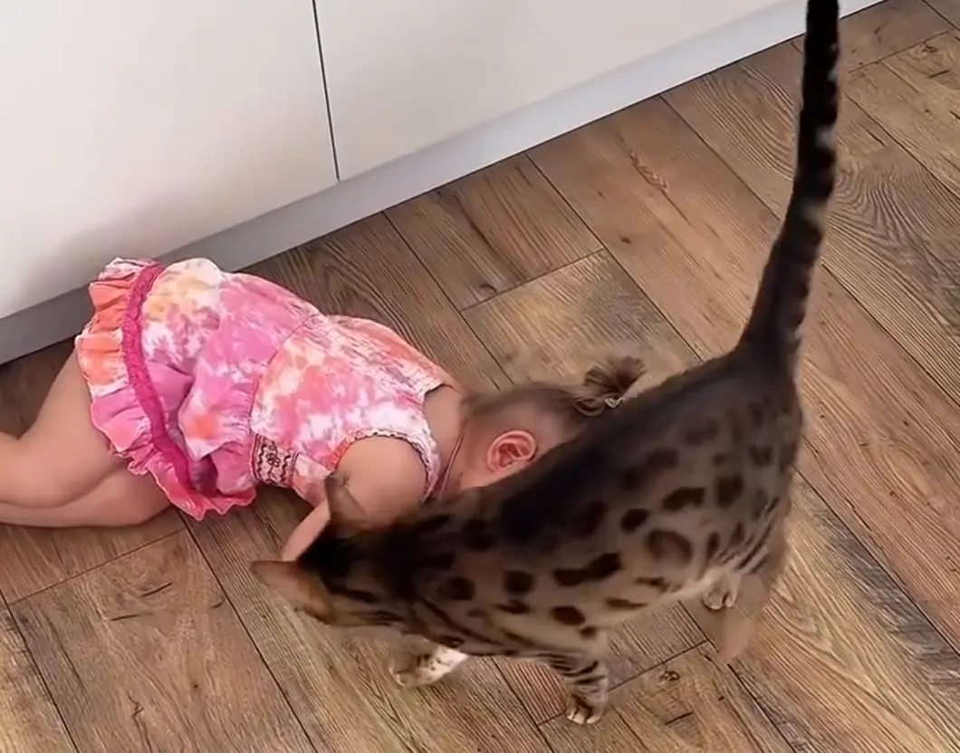 Какая помощница