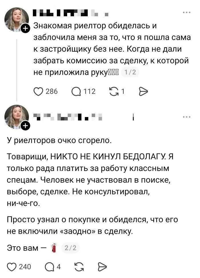 За что не любят риэлторов