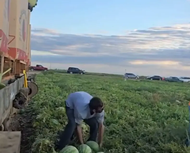 В любой работе нужен талант!⁠⁠