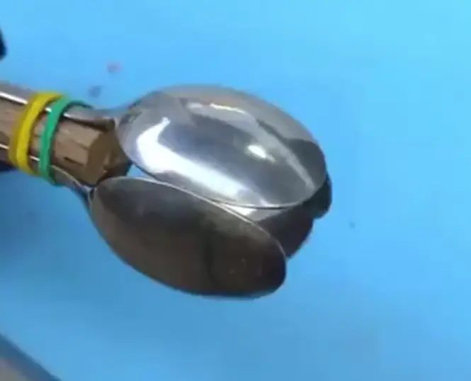 Технолоджия
