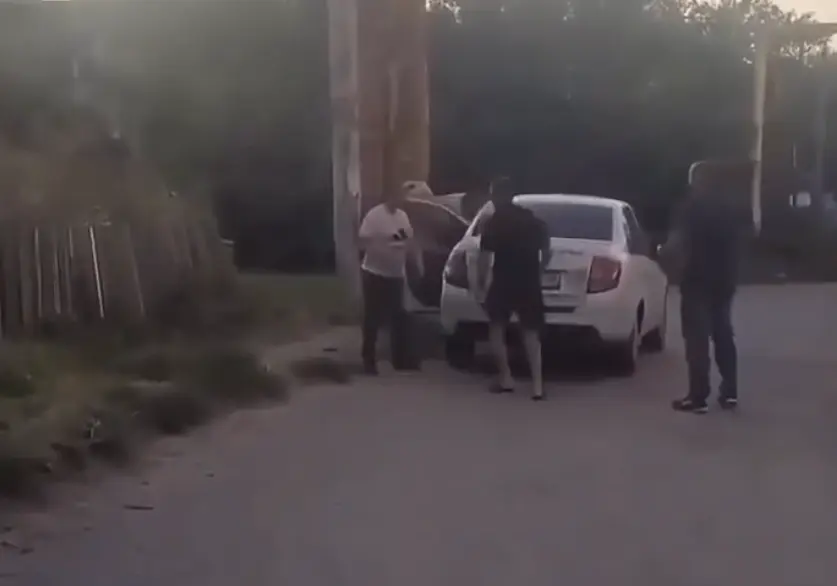 Нападение собаки в Липецке: конфликт прохожего и владельца овчарки закончился больницей»