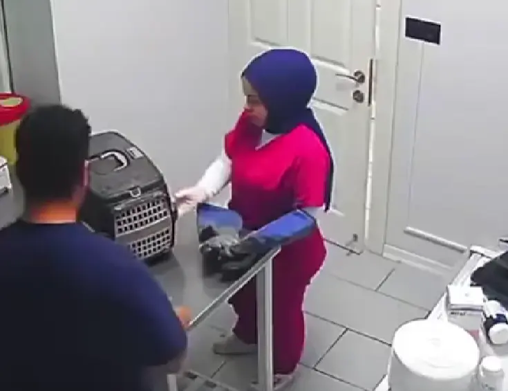 Выпустили джинна