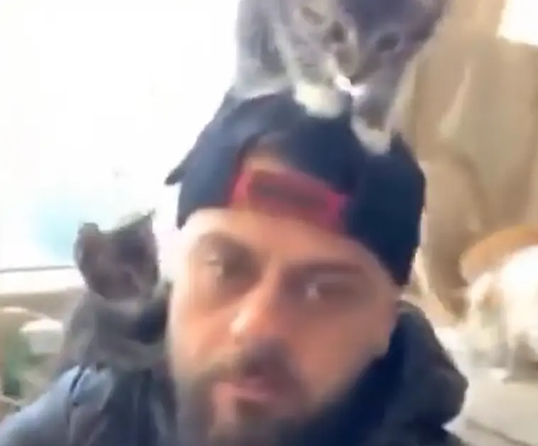 Не Наташа