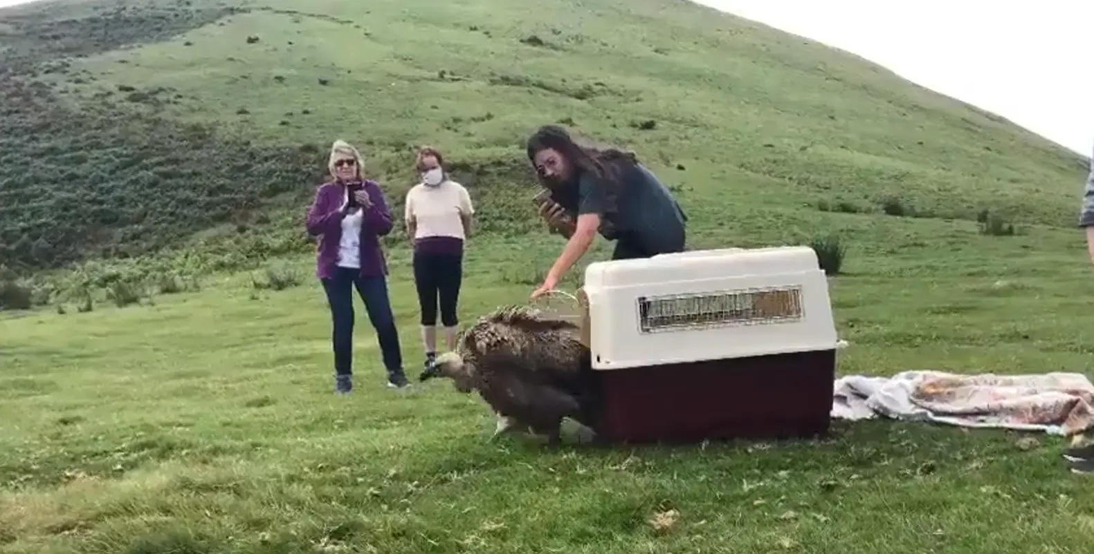 Красуется со всех сторон⁠⁠