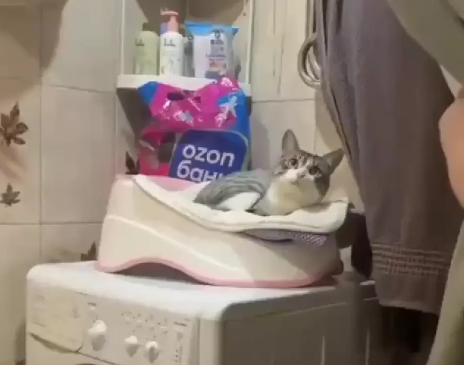 Лежанка с массажем⁠⁠