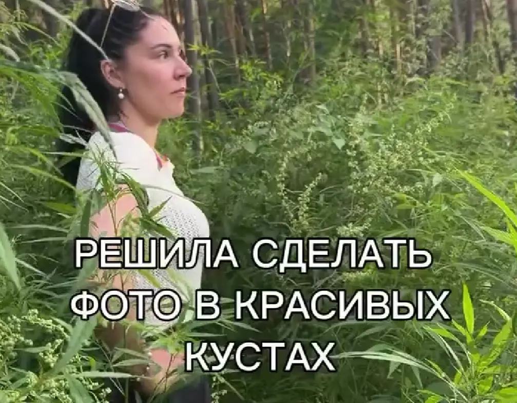 Решили сделать фотографии на фото вкусно пахнущего растения