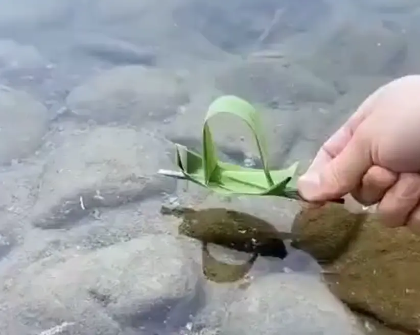 Полезное умение!⁠⁠