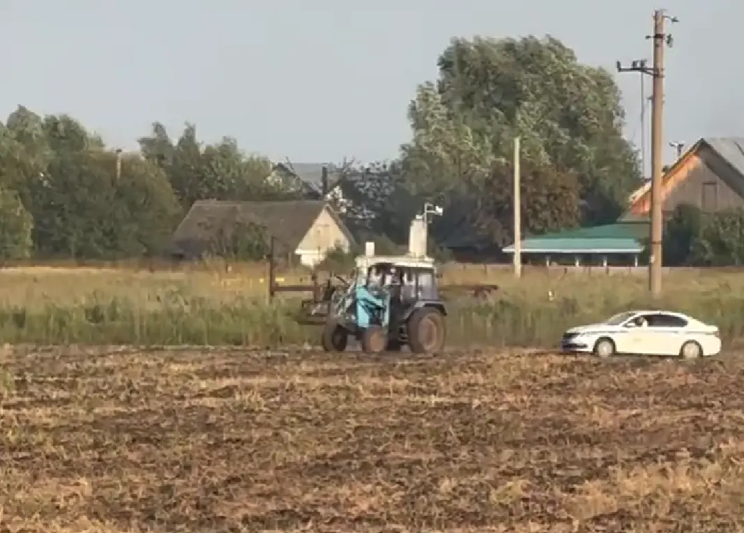 По полям, по полям...