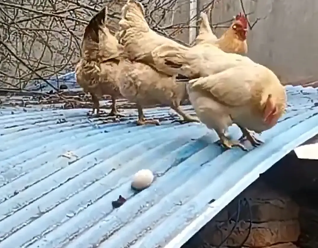 Вот же совпало...⁠⁠