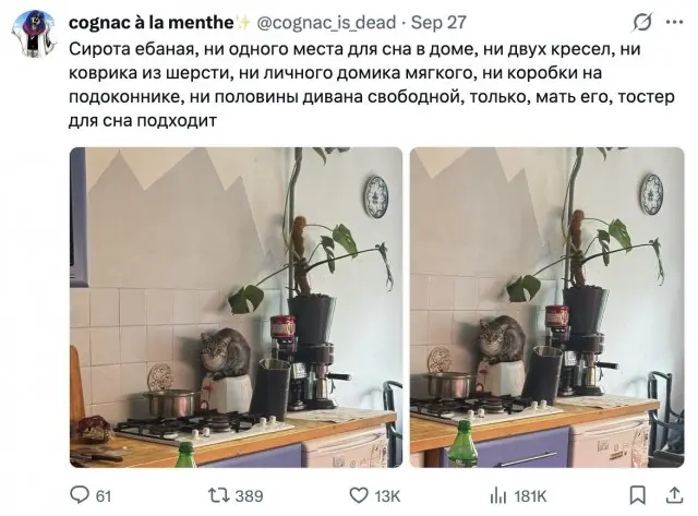 Сиротинушка