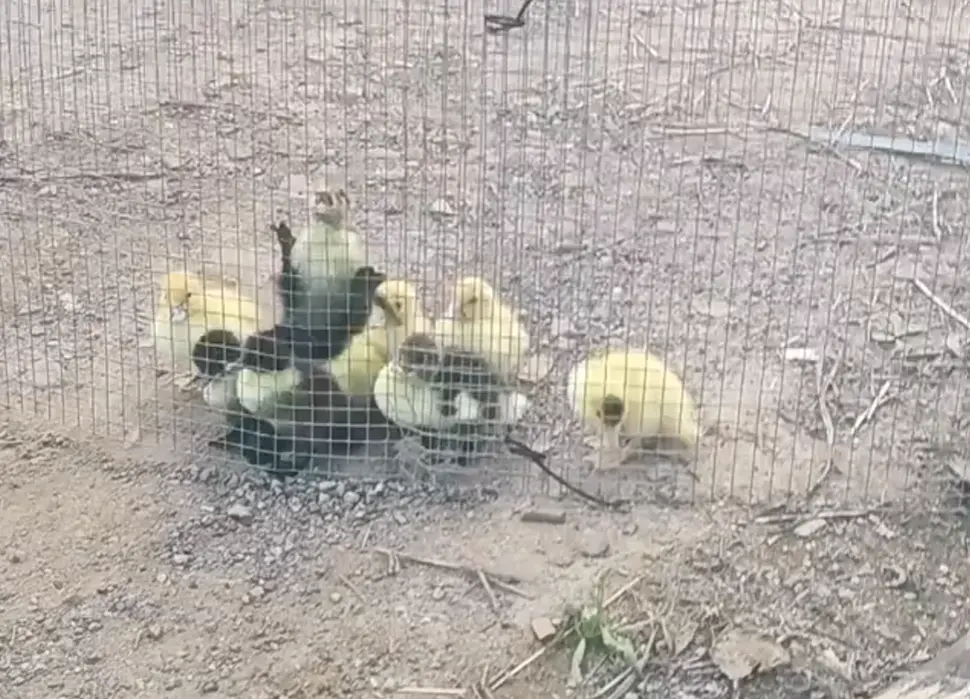 Все равно никто не поверит...⁠⁠