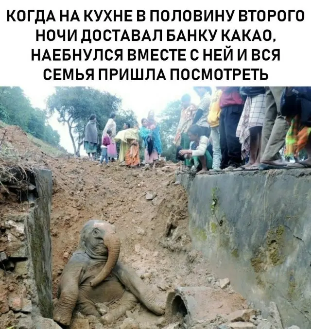Разные картинки