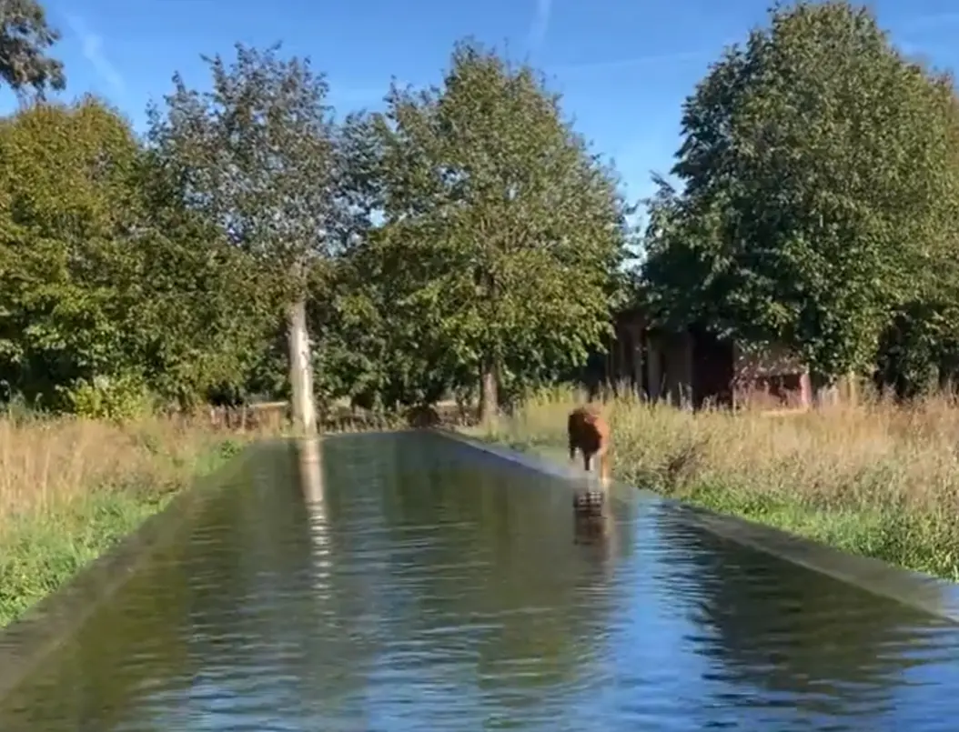 Вода