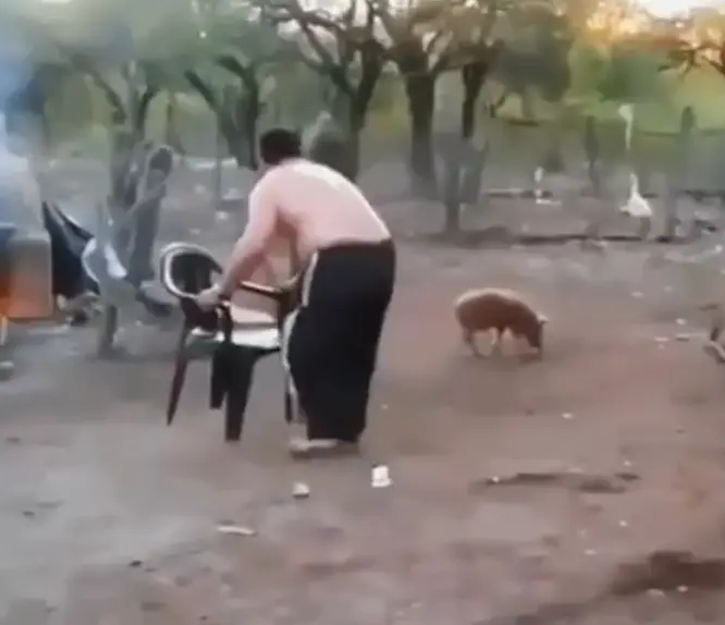 Подстава