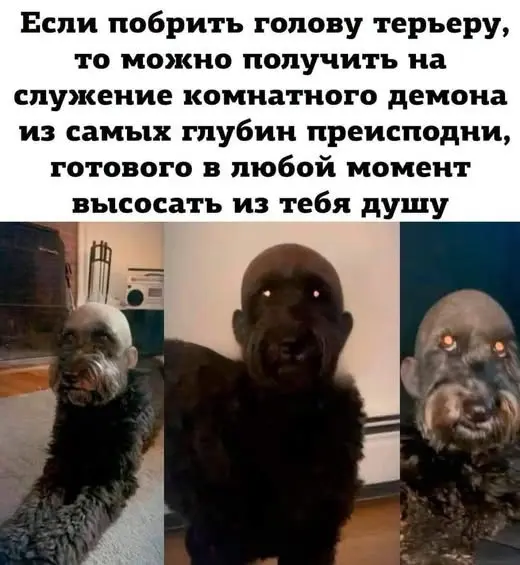 Разные картинки