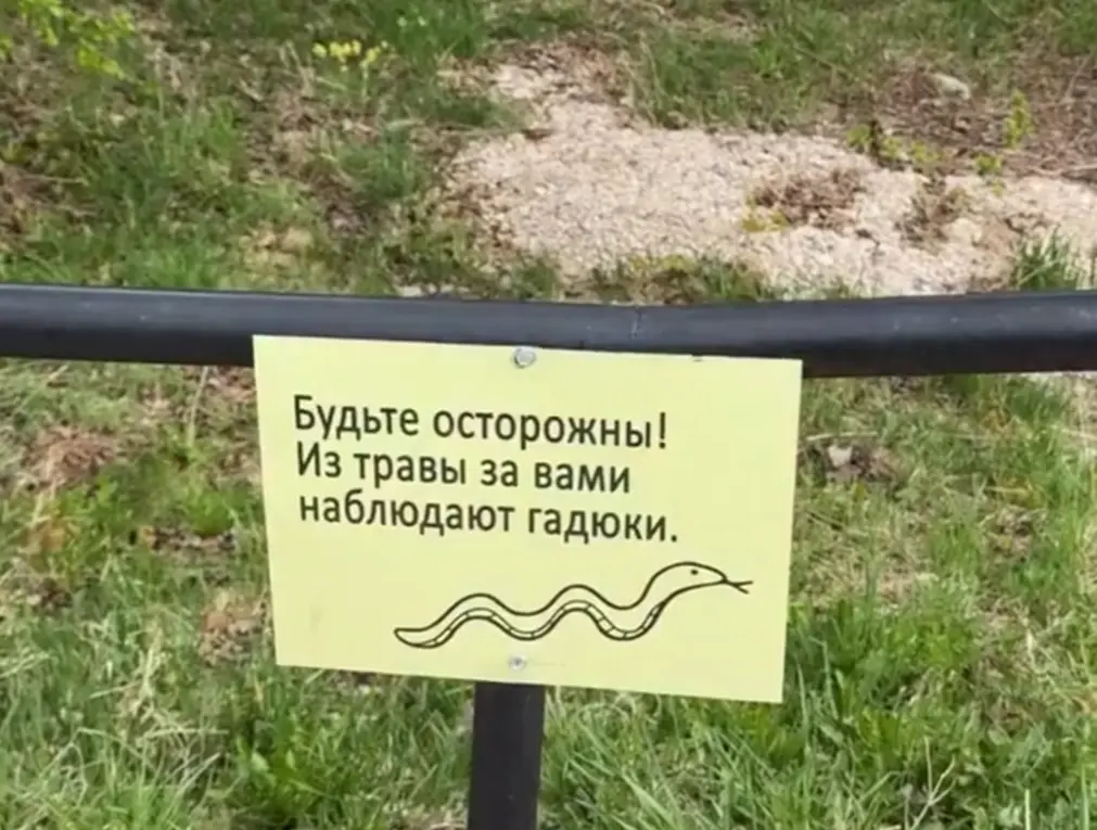 Там кто-то есть. Знаки врать не будут⁠⁠