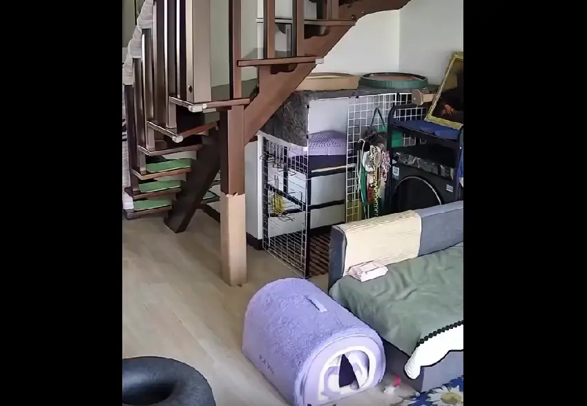 Ах ты жирный гусь⁠⁠