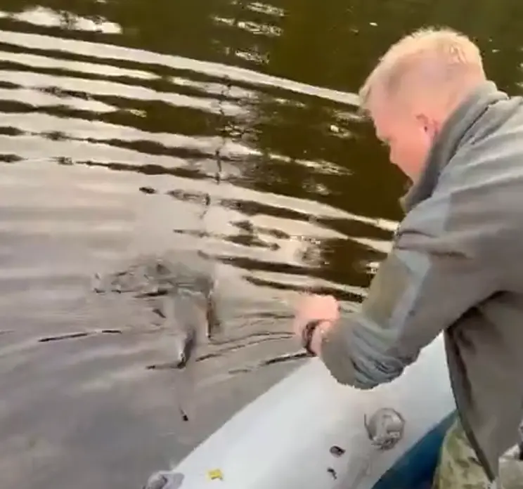 Щука здесь