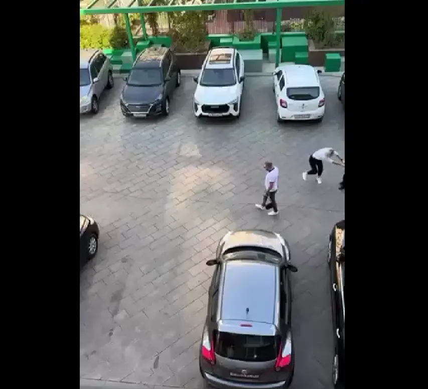 Сами идите, я пас