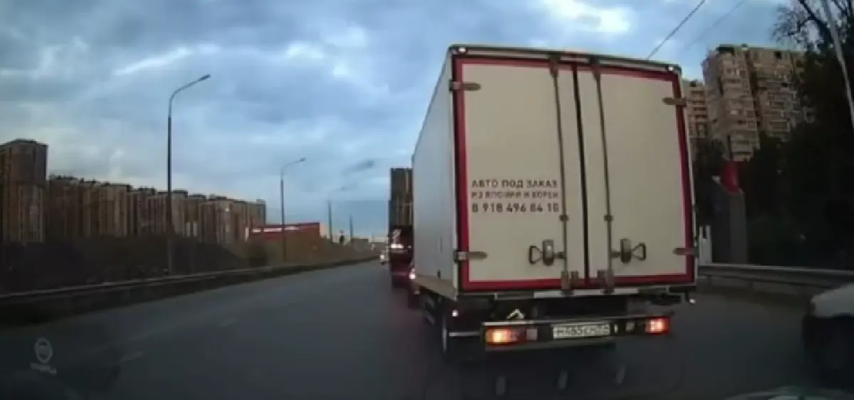 Гады
