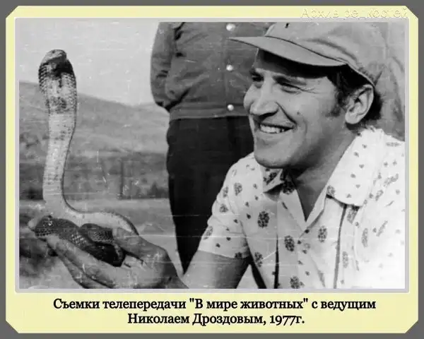 Уникальные снимки с историческим прошлым: фотоархив со всего света