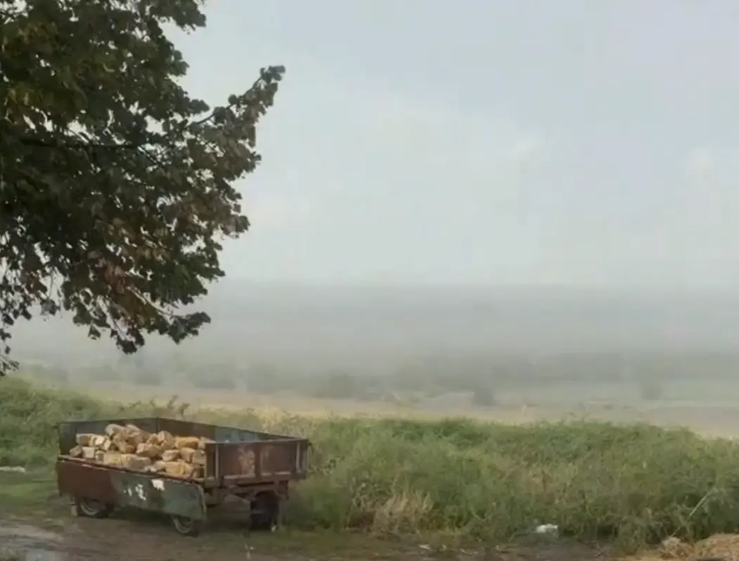 Дружная семейка⁠⁠