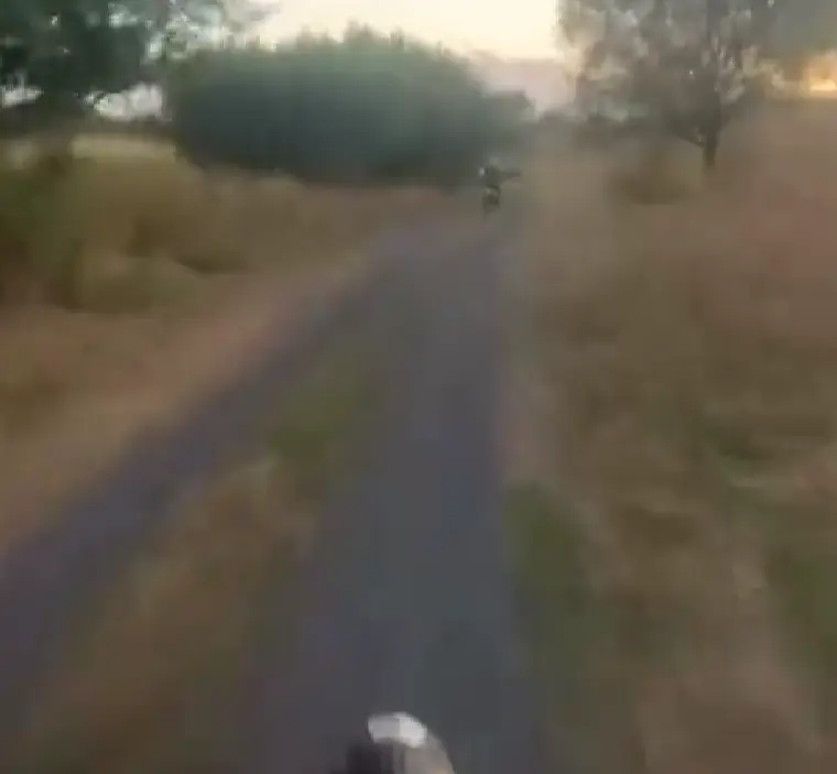 А не надо бычить!