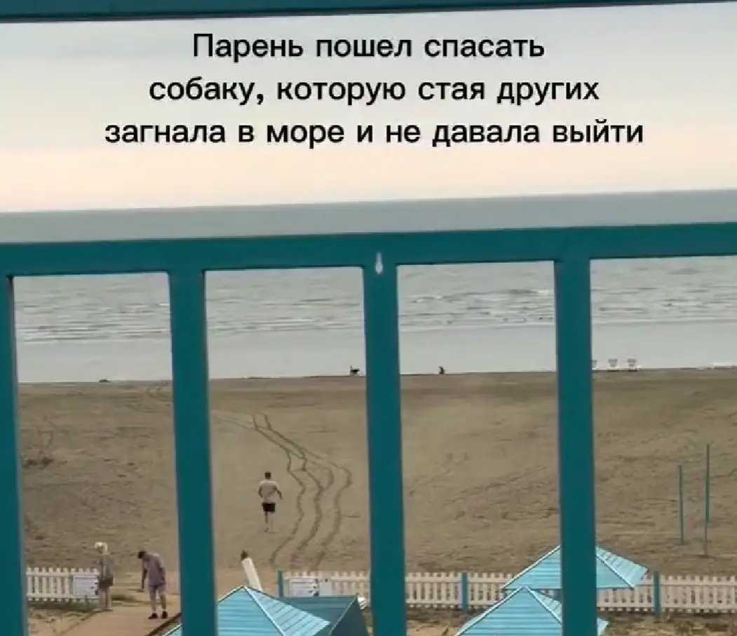 Это вам не люди, с ними можно договориться