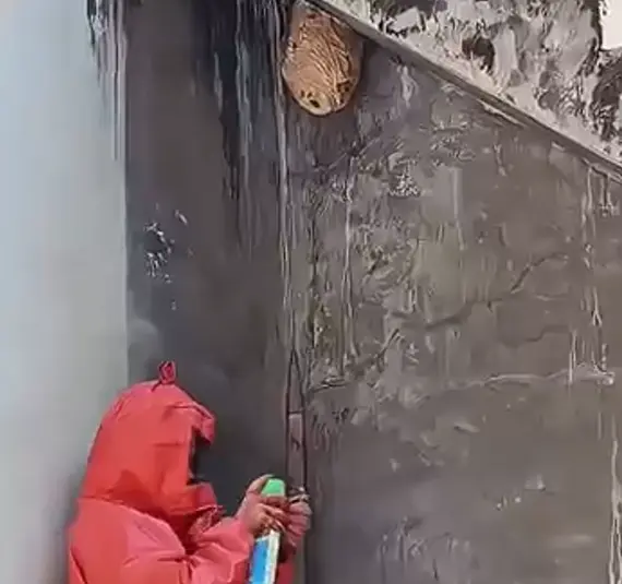 Борьба с дикими пчелообразными
