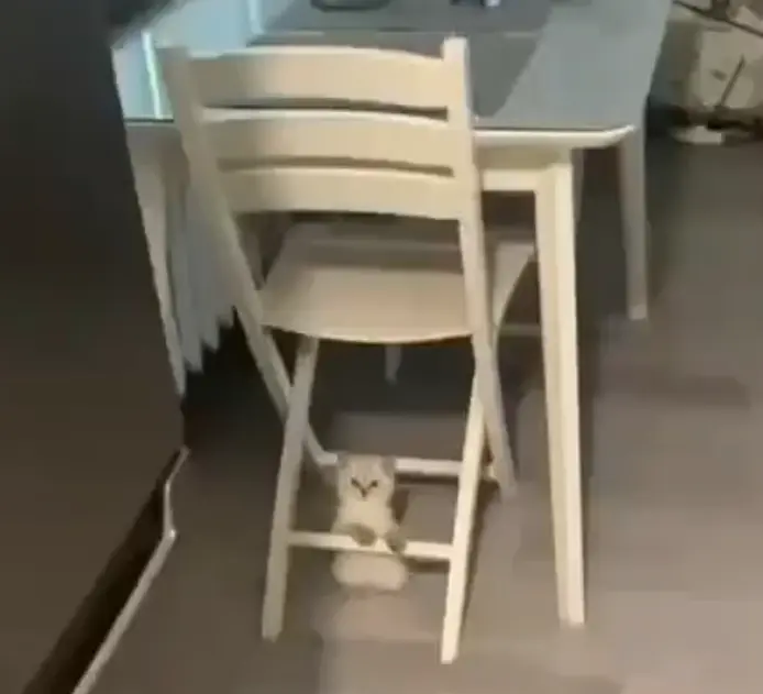 Магия, не иначе⁠⁠