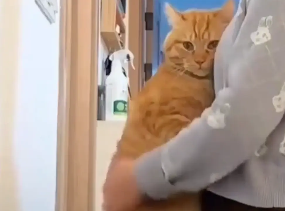 Будьте рядом с теми, кто греет⁠⁠