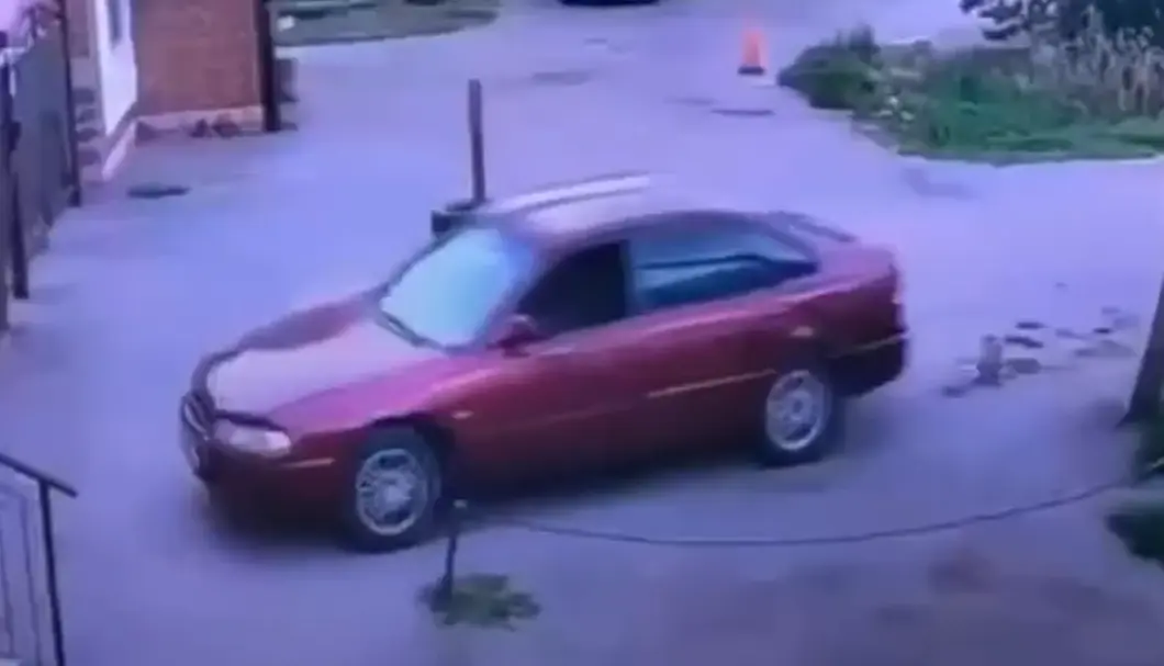 Кто виноват?!⁠⁠