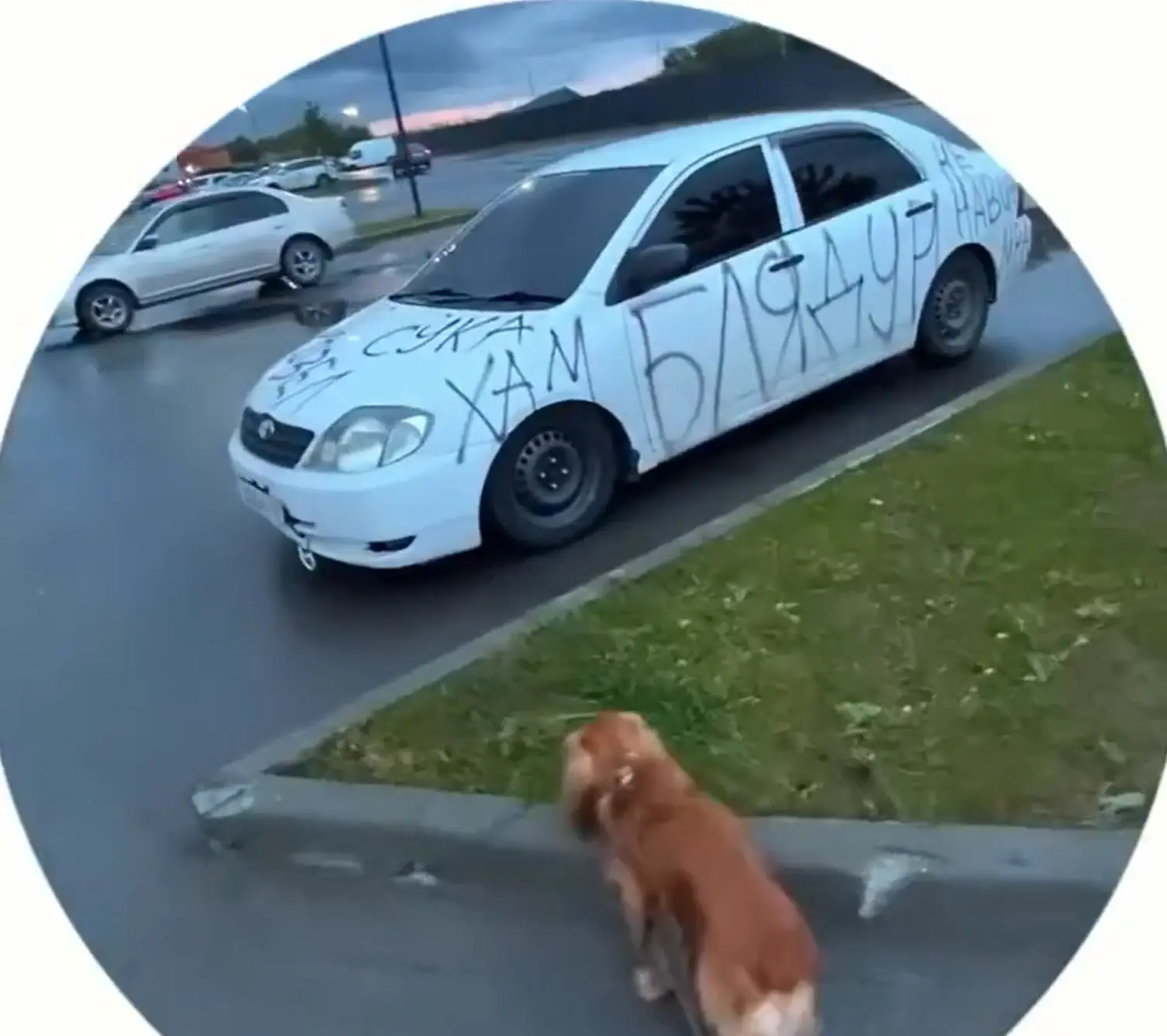 Ну кто хвалит, когда оскорбляет?⁠⁠
