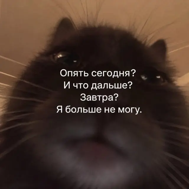 Разные картинки