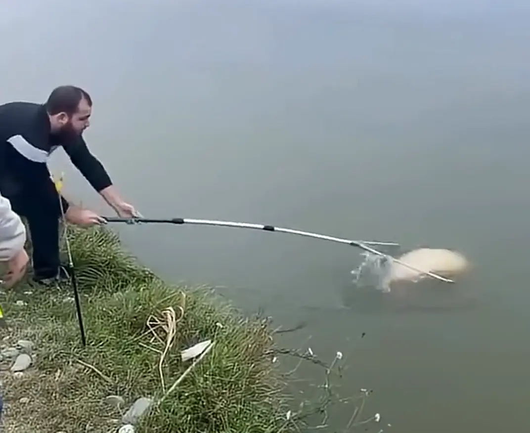 Рыбаки...