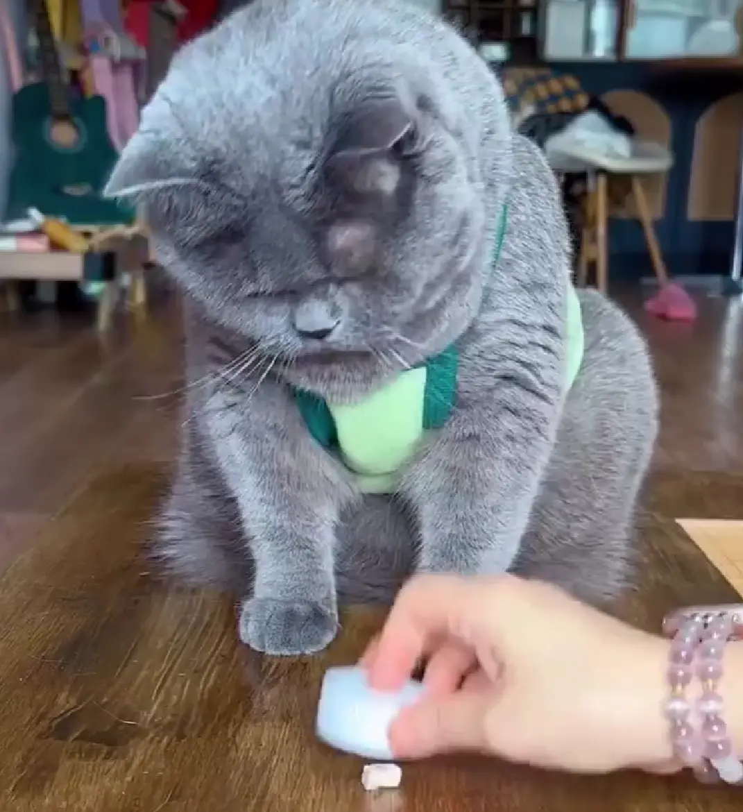 С ним лучше не играть